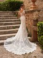 Dramatic illusion pointed train wedding dress with long sleeves and sexy low back Dramatic illusion pointed train wedding dress with long sleeves and sexy low back