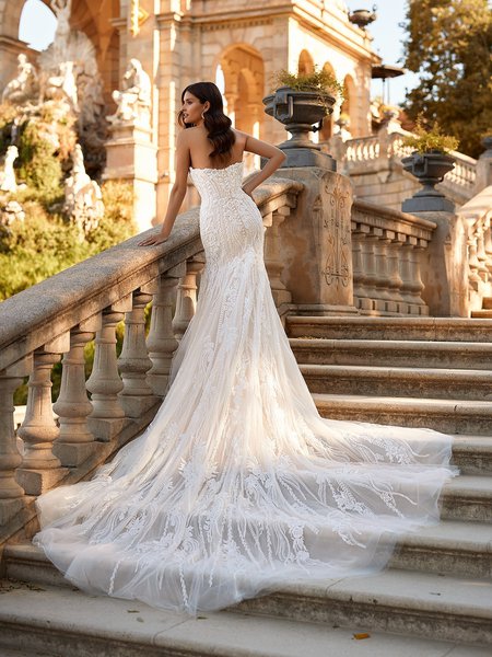 ValStefani LEONOR Eye Catching Open Illusion Back Embroidered Lace Appliques Sparkle Tulle Mermaid with Cathedral Train ValStefani LEONOR Eye Catching Open Illusion Back Embroidered Lace Appliques Sparkle Tulle Mermaid with Cathedral Train
