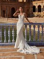 Beaded Straps V-Neck with Illusion Inset Stardust Tulle and Beaded Lace Appliques Mermaid with Chapen Train Style DANIELA Beaded Straps V-Neck with Illusion Inset Stardust Tulle and Beaded Lace Appliques Mermaid with Chapen Train Style DANIELA